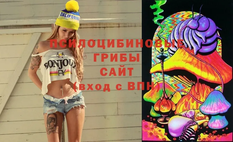 Псилоцибиновые грибы Cubensis  Гусев 